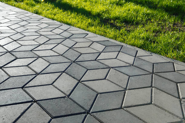 Best Concrete Paver Driveway  in Cottonwood, MN