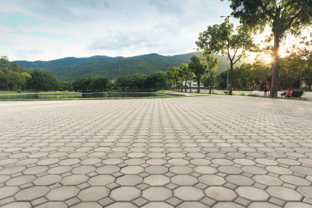 Best Professional Driveway Pavers  in Cottonwood, MN